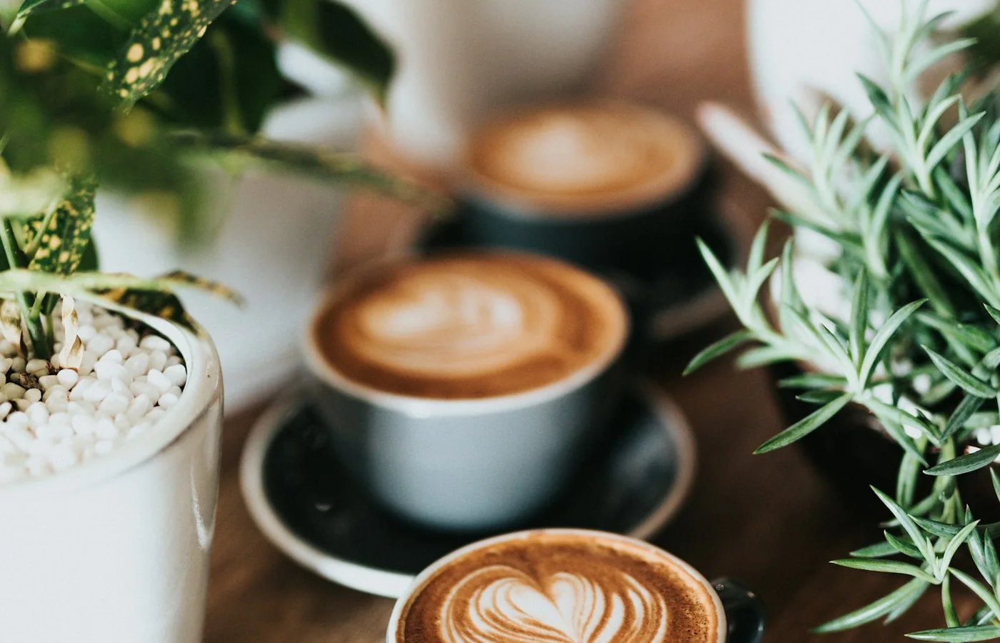Zwei Tassen Cappuccino mit Milchschaum auf einem Holztisch neben Pflanzen