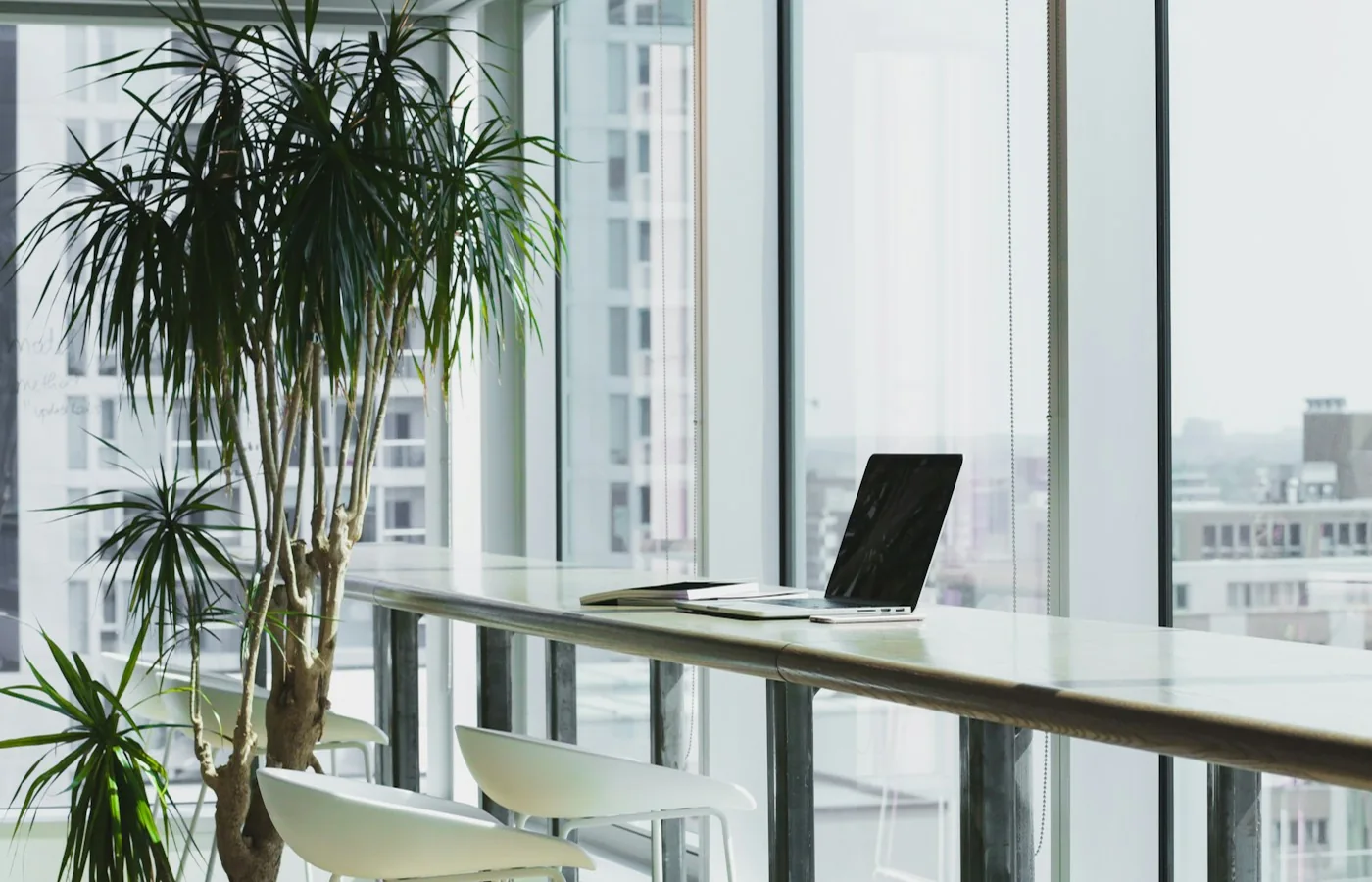 Heller Arbeitsplatz mit Laptop, großem Fenster und Zimmerpflanzen