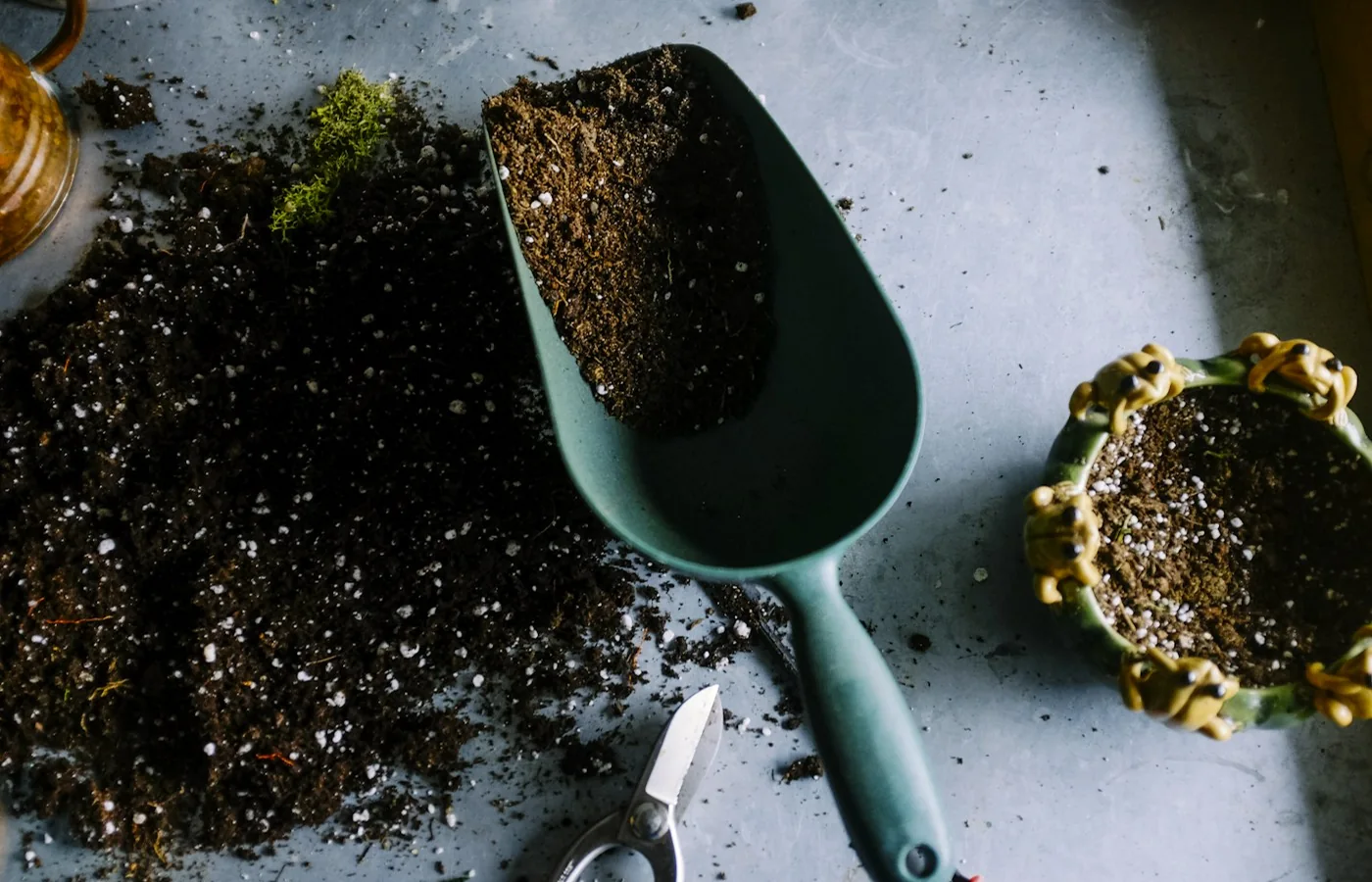 Gartenschaufel mit Erde und kleinen Pflanzen auf einer Arbeitsfläche
