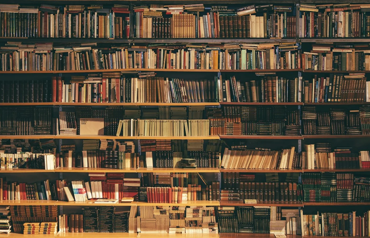 Hohe Bücherregale mit vielen Büchern in warmem Licht